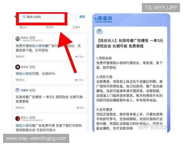 问鼎娱乐网址支持哪些支付方式，快速充值和提现流程详解让你无忧畅玩游戏